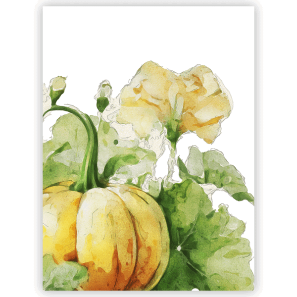 strofinaccio con disegni di fiori di zucca